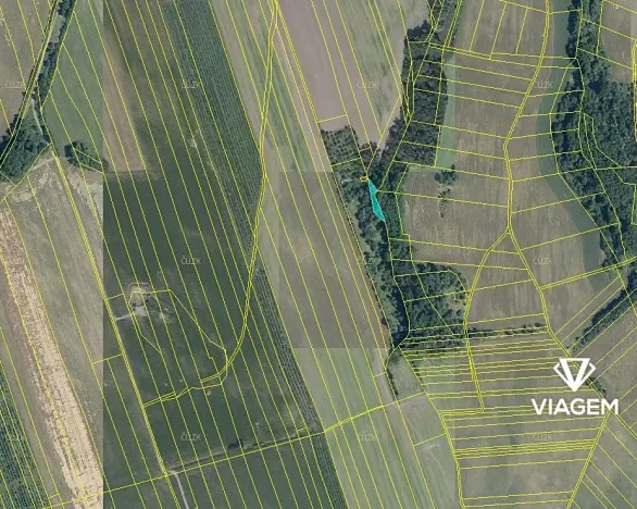 Prodej zahrady, Kojice, 500 m2