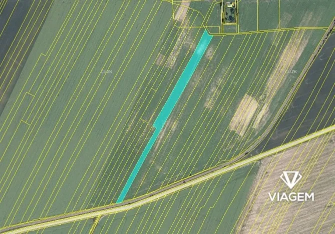 Prodej podílu pole, Moravské Budějovice, 1999 m2