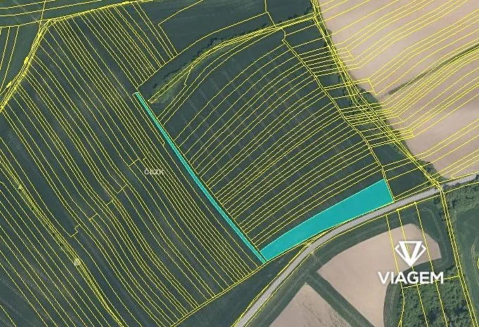 Prodej podílu pole, Koryčany, 1435 m2