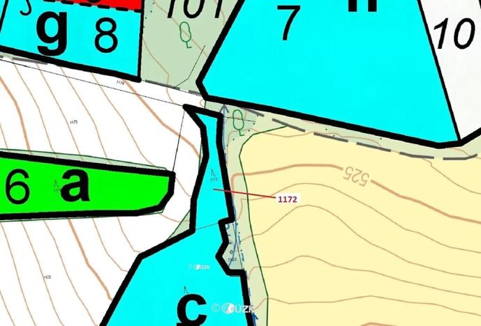 Dražba lesa, Kuřimany, 875 m2