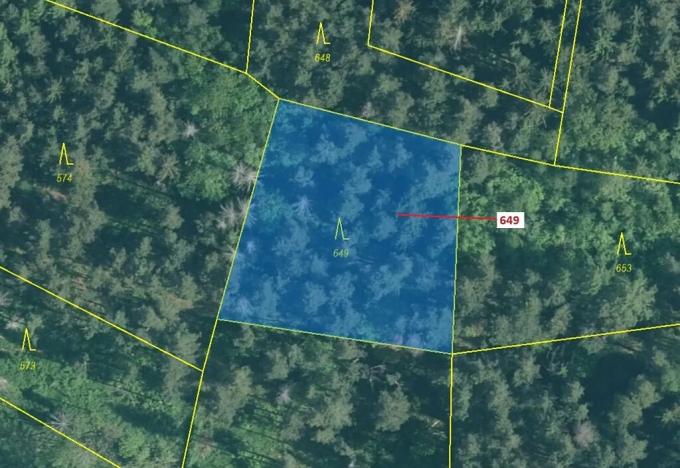 Dražba lesa, Kuřimany, 1722 m2