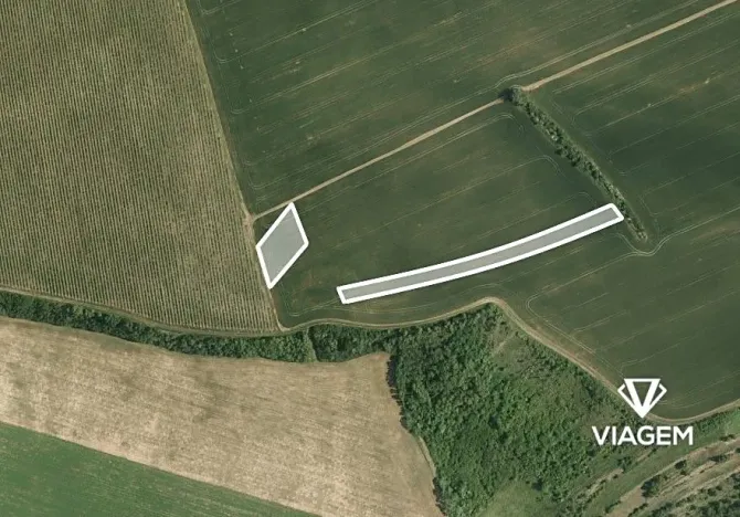 Prodej pole, Nosislav, 5643 m2