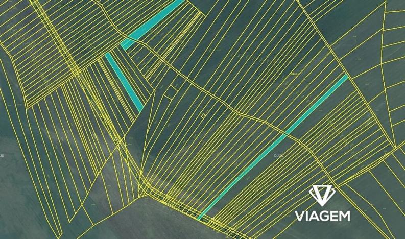 Prodej pole, Přísnotice, 5053 m2