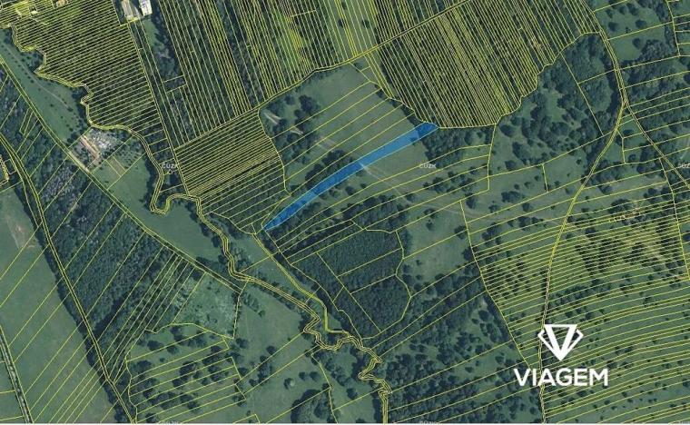 Prodej podílu pole, Kněždub, 3636 m2