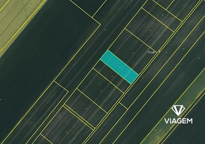 Prodej podílu pole, Lužec nad Cidlinou, 586 m2