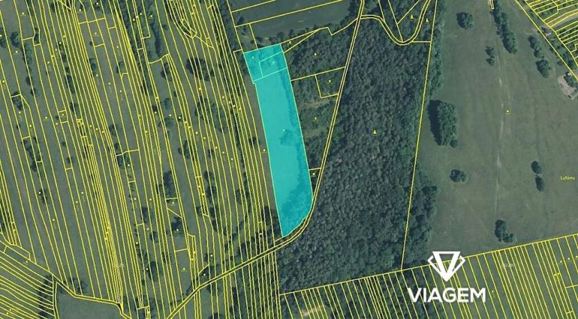 Prodej podílu pole, Kněždub, 6049 m2