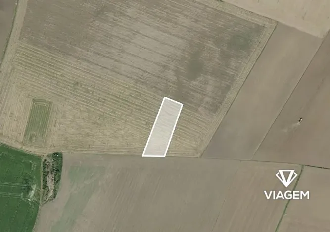 Prodej podílu pole, Sluhy, 2137 m2