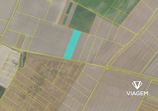 Prodej podílu pole, Sluhy, 2137 m2