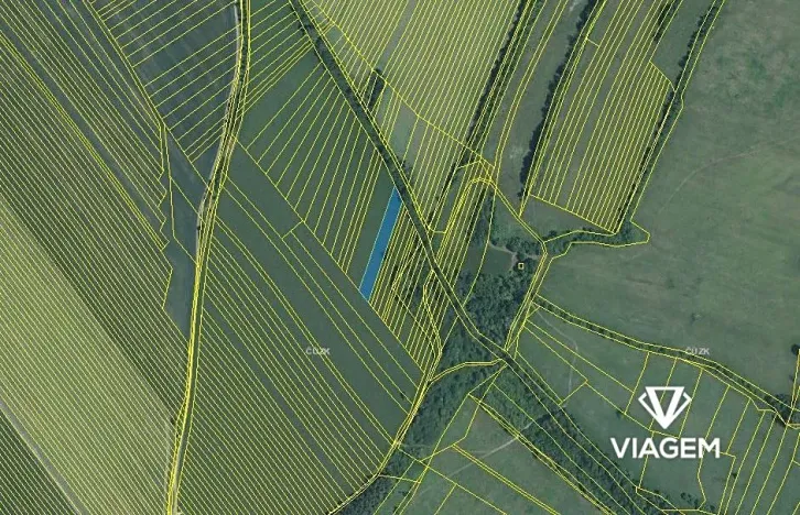 Prodej podílu pole, Velká nad Veličkou, 1203 m2