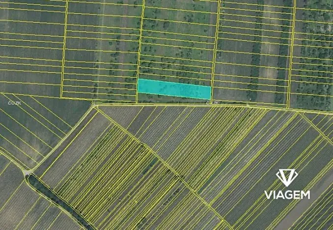 Prodej podílu pole, Hrušky, 912 m2