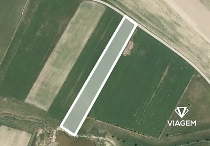 Prodej podílu pole, Kejžlice, 2768 m2