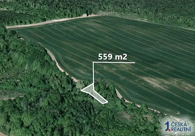 Prodej pole, Hoštice, 559 m2