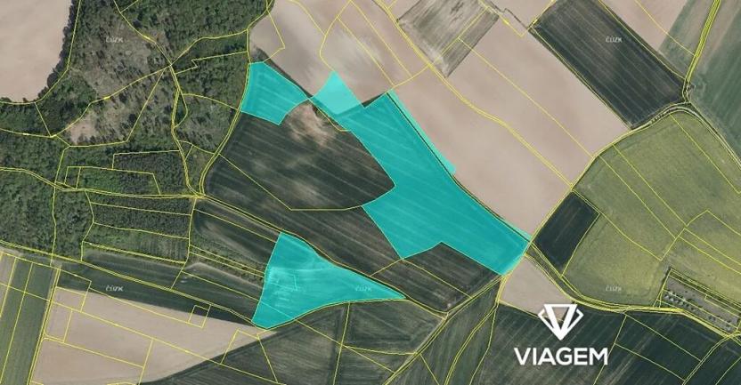 Prodej podílu pole, Rtyně v Podkrkonoší, 3977 m2