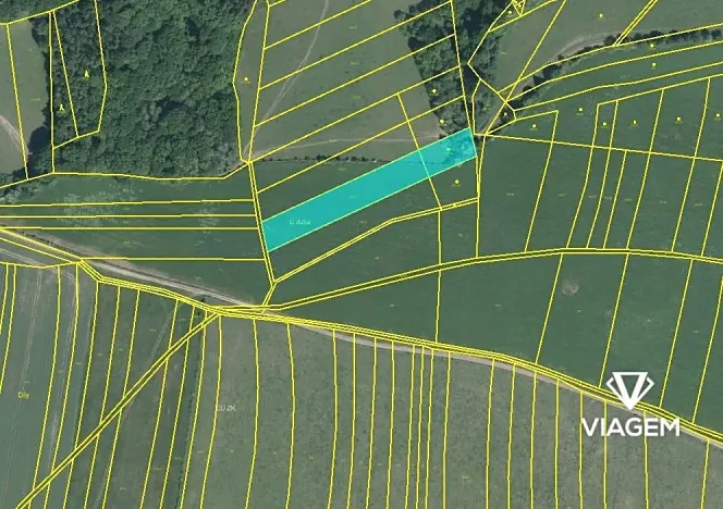 Prodej podílu pole, Biskupice, 1003 m2