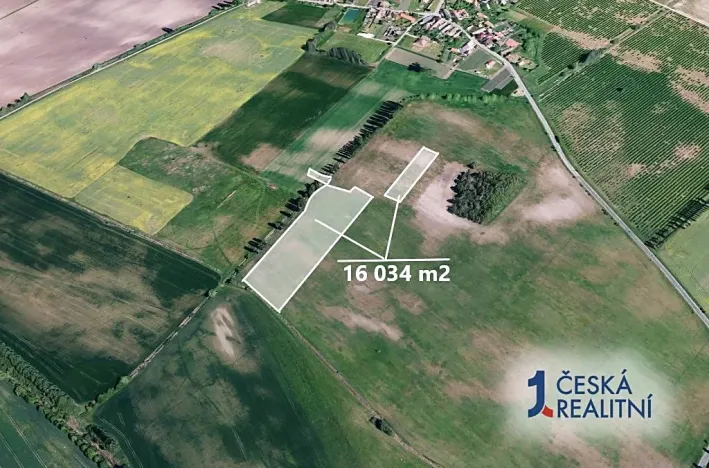 Prodej podílu pole, Horušice, 2895 m2