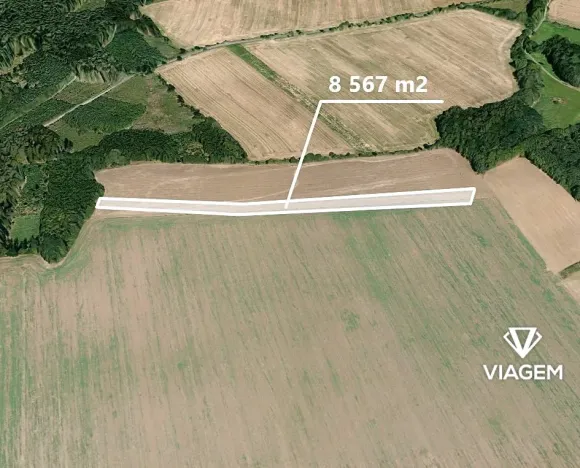 Prodej podílu pole, Oleška, 3426 m2