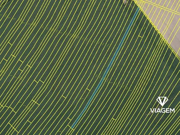 Prodej podílu pole, Moravská Nová Ves, 375 m2