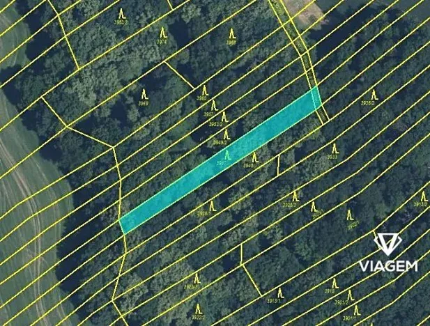 Prodej podílu pole, Popovice, 1610 m2