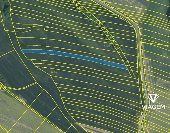 Prodej podílu pole, Částkov, 1682 m2