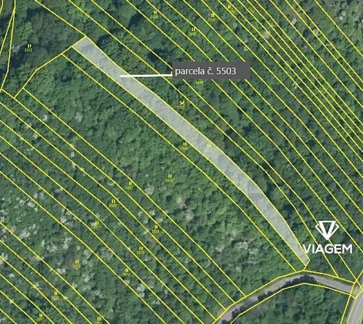 Prodej podílu pole, Březolupy, 746 m2