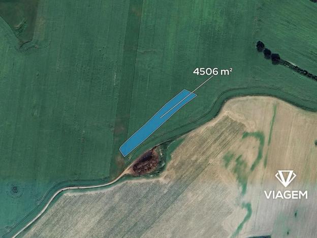 Prodej podílu pole, Čejetice, 1126 m2