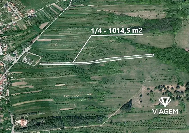 Prodej podílu zahrady, Velká nad Veličkou, 1014 m2