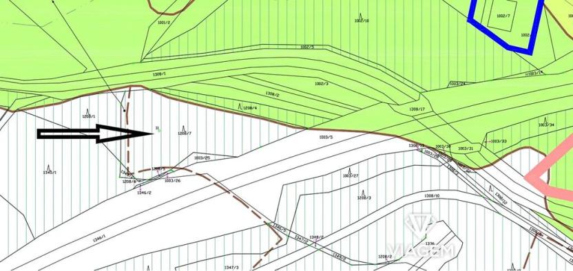Prodej lesa, Nové Sedlo, 4639 m2
