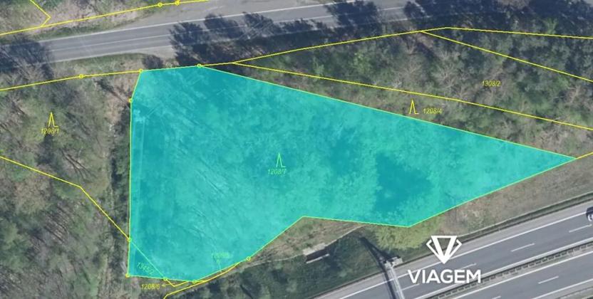 Prodej lesa, Nové Sedlo, 4639 m2