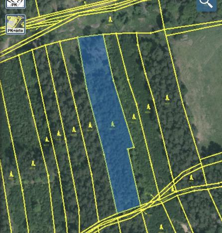 Prodej lesa, Blížejov - Lštění, 4152 m2