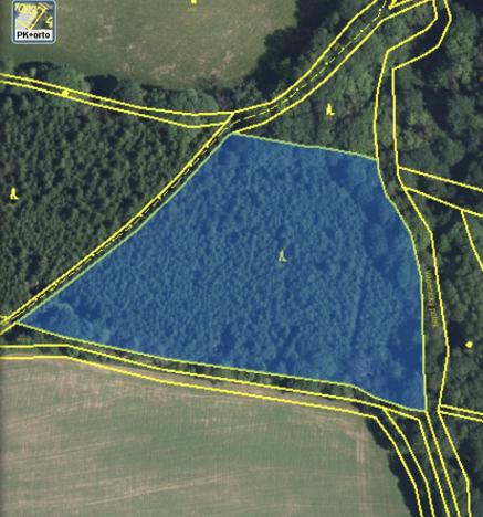 Prodej lesa, Lánov - Horní Lánov, 12297 m2