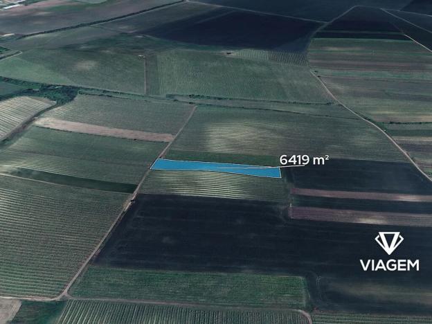 Prodej podílu pole, Přítluky, 229 m2