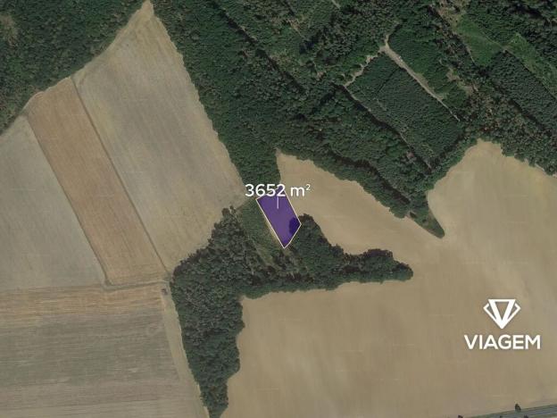 Prodej podílu pole, Horšovský Týn, 304 m2