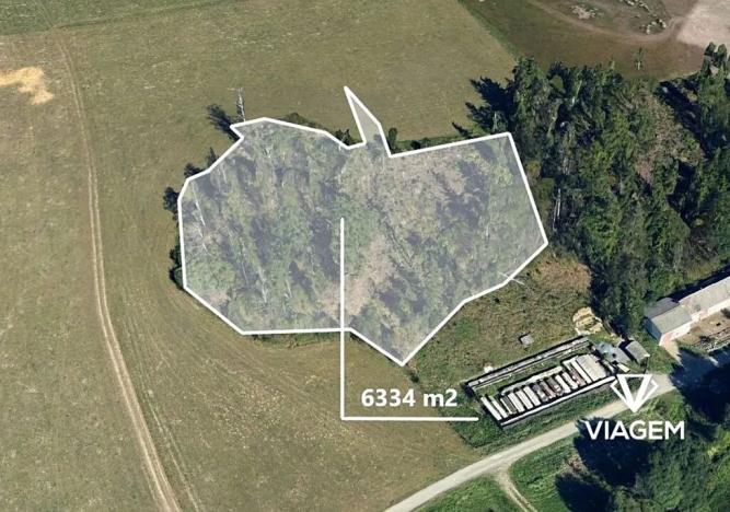 Prodej podílu lesa, Oborná, 1319 m2