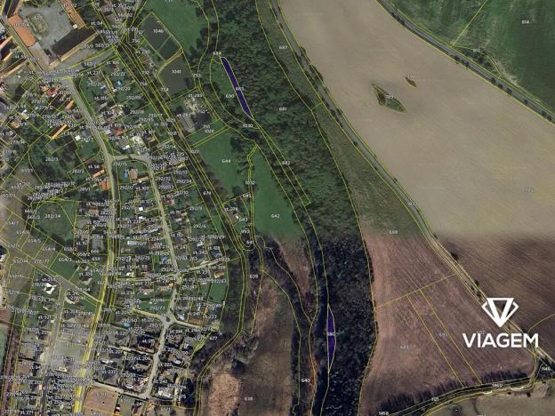 Prodej lesa, Blovice, 1554 m2