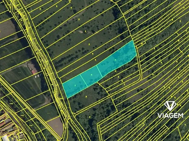 Prodej podílu pole, Javorník, 6351 m2
