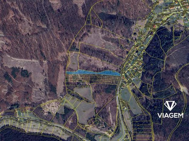 Prodej lesa, Vír, 6228 m2