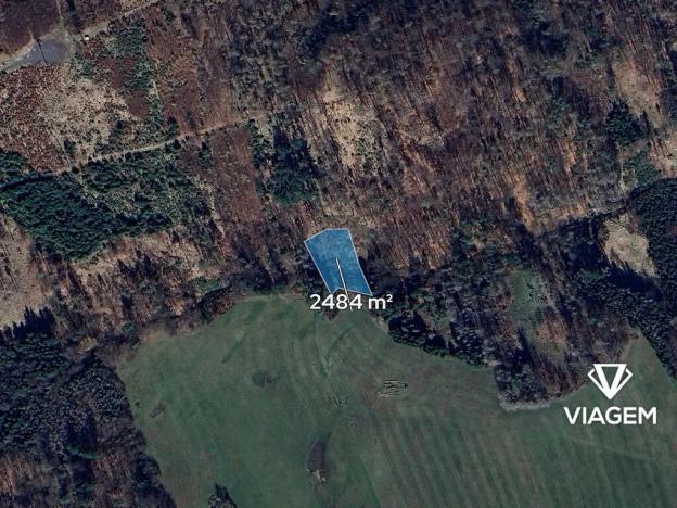 Prodej lesa, Stříbrná Skalice, 2484 m2