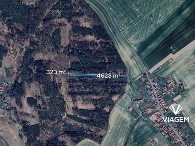 Prodej podílu lesa, Budětsko, 990 m2
