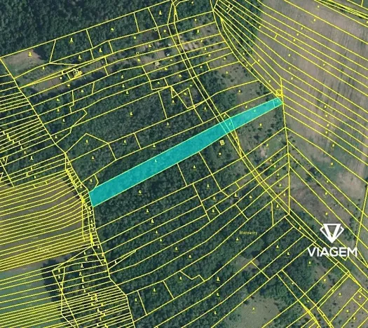 Prodej lesa, Silůvky, 4817 m2