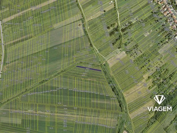 Prodej podílu pole, Javorník, 516 m2