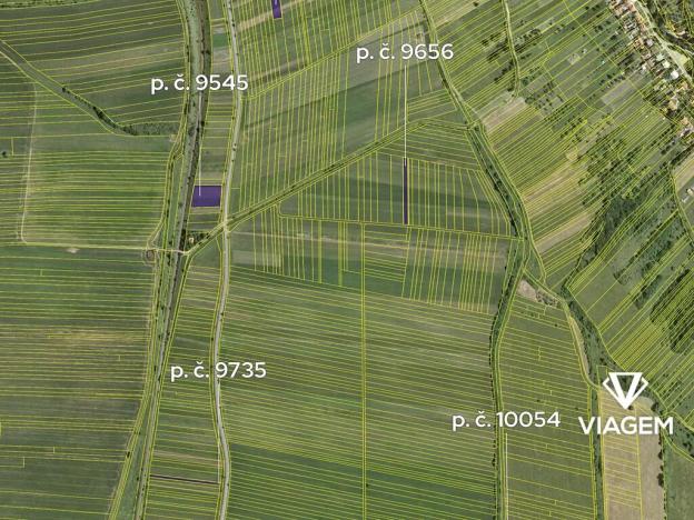 Prodej podílu pole, Javorník, 3412 m2
