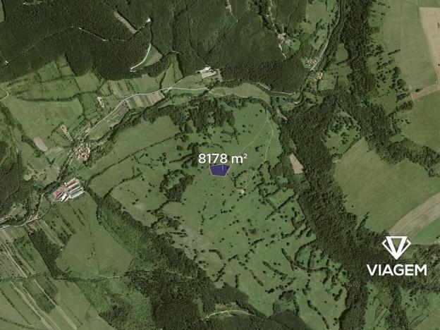 Prodej podílu pole, Javorník, 1168 m2