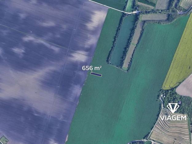 Prodej pole, Těšany, 656 m2