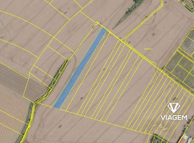 Prodej podílu pole, Kostelní Hlavno, 2030 m2