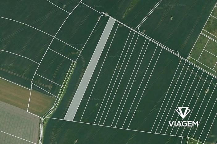 Prodej podílu pole, Kostelní Hlavno, 2030 m2