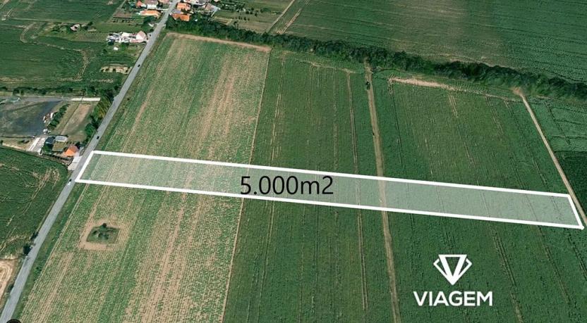 Prodej podílu pole, Znojmo, 5000 m2