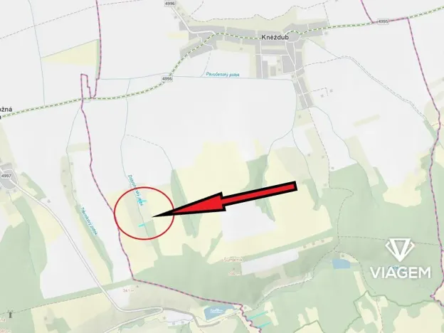 Prodej podílu lesa, Kněždub, 546 m2