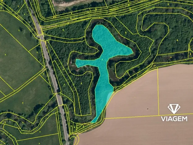 Prodej lesa, Kunín, 12261 m2