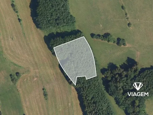 Prodej lesa, Košťálov, 4449 m2