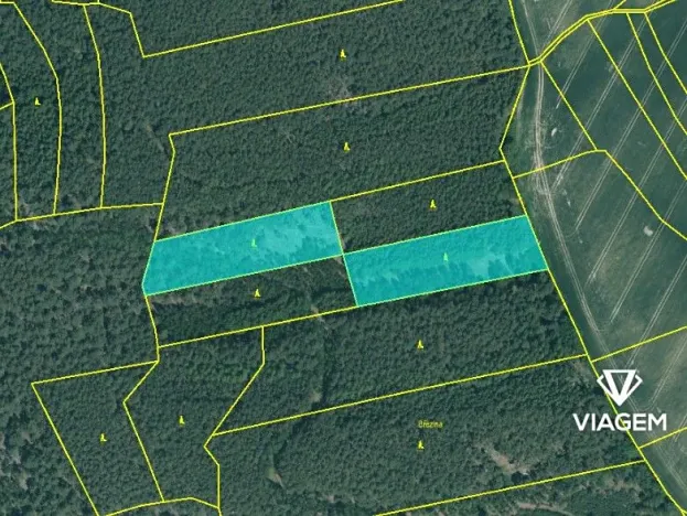 Prodej podílu lesa, Manětín, 4219 m2